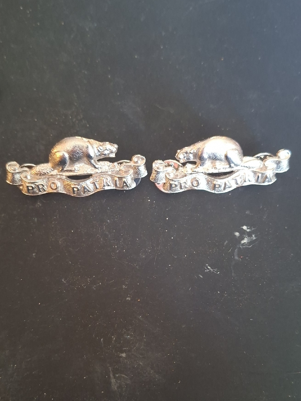 Royal Canadian Regiment Collar Badges - Silver Plate